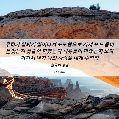 Picture 06 - 아가 7:12 KOR - 우리가 일찌기 일어나서 포도원으로 - Bible Verse Picture