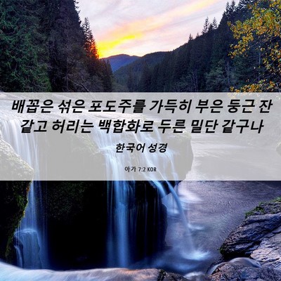 Picture 06 - 아가 7:2 KOR - 배꼽은 섞은 포도주를 가득히 부은 - Bible Verse Picture