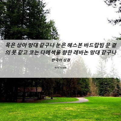 Picture 06 - 아가 7:4 KOR - 목은 상아 망대 같구나 눈은 헤스본 - Bible Verse Picture