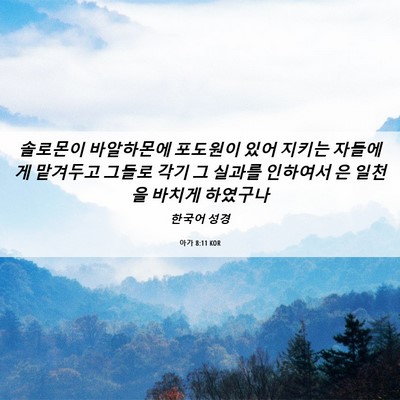 Picture 06 - 아가 8:11 KOR - 솔로몬이 바알하몬에 포도원이 있어 - Bible Verse Picture
