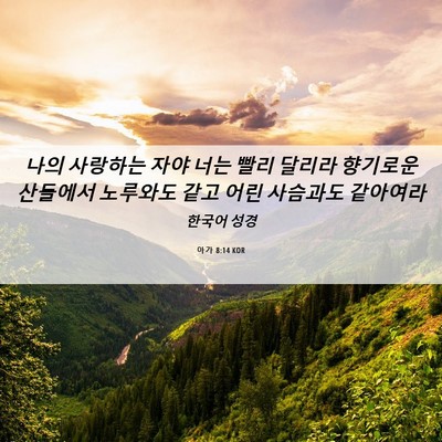 Picture 06 - 아가 8:14 KOR - 나의 사랑하는 자야 너는 빨리 - Bible Verse Picture