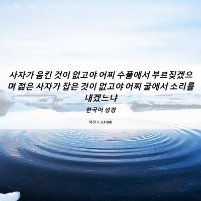 Picture 06 - 아모스 3:4 KOR - 사자가 움킨 것이 없고야 어찌 - Bible Verse Picture