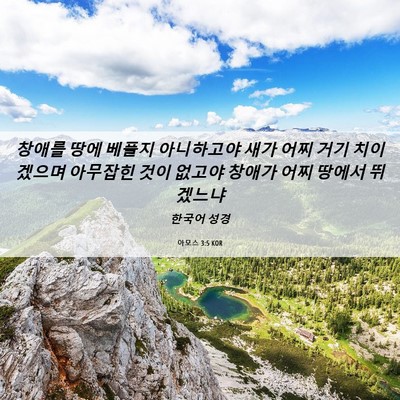 Picture 06 - 아모스 3:5 KOR - 창애를 땅에 베풀지 아니하고야 새가 - Bible Verse Picture