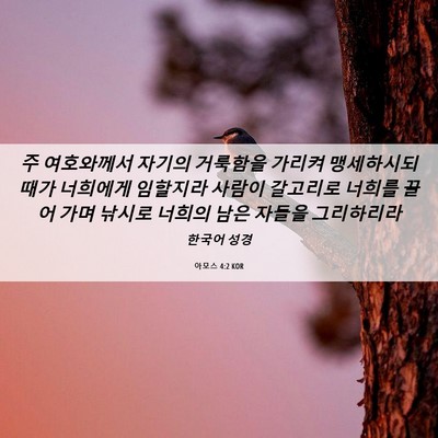 Picture 06 - 아모스 4:2 KOR - 주 여호와께서 자기의 거룩함을 - Bible Verse Picture