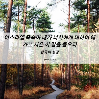 Picture 06 - 아모스 5:1 KOR - 이스라엘 족속아 내가 너희에게 - Bible Verse Picture