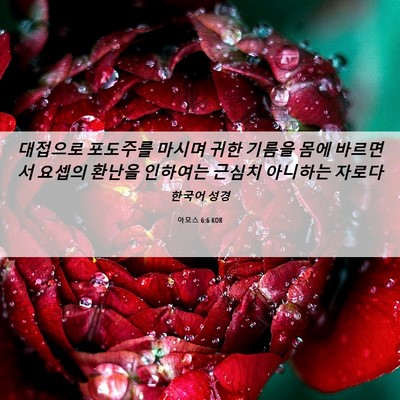 Picture 06 - 아모스 6:6 KOR - 대접으로 포도주를 마시며 귀한 - Bible Verse Picture