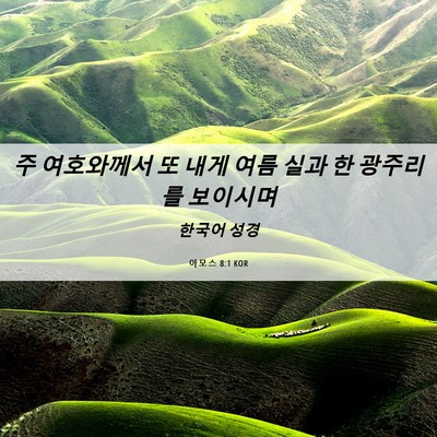 Picture 06 - 아모스 8:1 KOR - 주 여호와께서 또 내게 여름 실과 한 - Bible Verse Picture