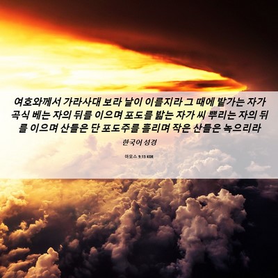 Picture 06 - 아모스 9:13 KOR - 여호와께서 가라사대 보라 날이 - Bible Verse Picture