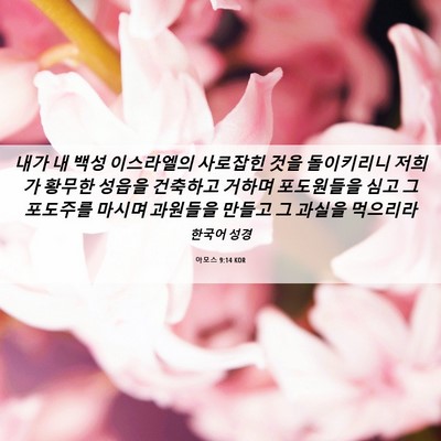 Picture 06 - 아모스 9:14 KOR - 내가 내 백성 이스라엘의 사로잡힌 - Bible Verse Picture
