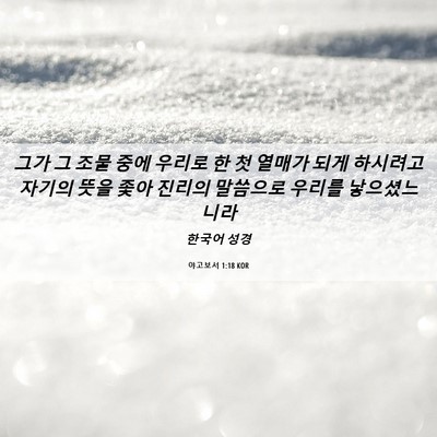 Picture 06 - 야고보서 1:18 KOR - 그가 그 조물 중에 우리로 한 첫 - Bible Verse Picture
