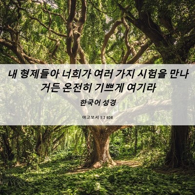 Picture 06 - 야고보서 1:2 KOR - 내 형제들아 너희가 여러 가지 - Bible Verse Picture