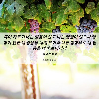 Picture 06 - 야고보서 2:18 KOR - 혹이 가로되 너는 믿음이 있고 나는 - Bible Verse Picture