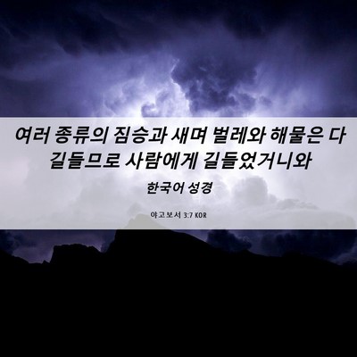 Picture 06 - 야고보서 3:7 KOR - 여러 종류의 짐승과 새며 벌레와 - Bible Verse Picture