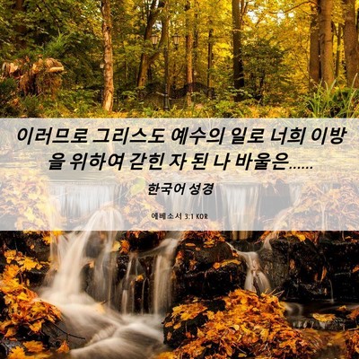 Picture 06 - 에베소서 3:1 KOR - 이러므로 그리스도 예수의 일로 너희 - Bible Verse Picture