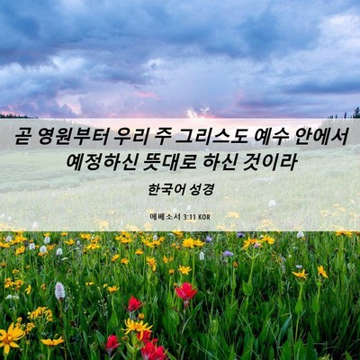 Picture 06 - 에베소서 3:11 KOR - 곧 영원부터 우리 주 그리스도 예수 - Bible Verse Picture