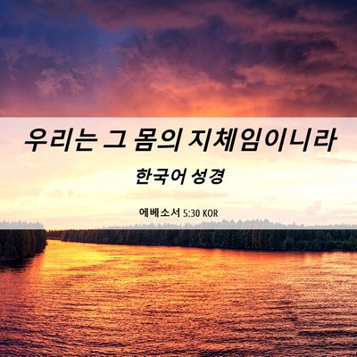 Picture 06 - 에베소서 5:30 KOR - 우리는 그 몸의 - Bible Verse Picture