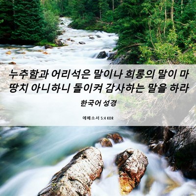 Picture 06 - 에베소서 5:4 KOR - 누추함과 어리석은 말이나 희롱의 - Bible Verse Picture
