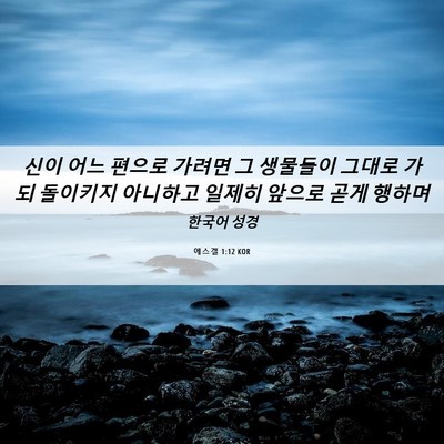 Picture 06 - 에스겔 1:12 KOR - 신이 어느 편으로 가려면 그 - Bible Verse Picture