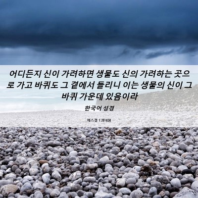 Picture 06 - 에스겔 1:20 KOR - 어디든지 신이 가려하면 생물도 신의 - Bible Verse Picture