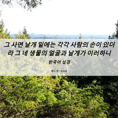 Picture 06 - 에스겔 1:8 KOR - 그 사면 날개 밑에는 각각 사람의 - Bible Verse Picture