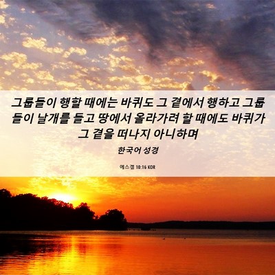 Picture 06 - 에스겔 10:16 KOR - 그룹들이 행할 때에는 바퀴도 그 - Bible Verse Picture
