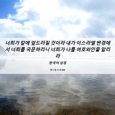 Picture 06 - 에스겔 11:10 KOR - 너희가 칼에 엎드러질 것이라 내가 - Bible Verse Picture