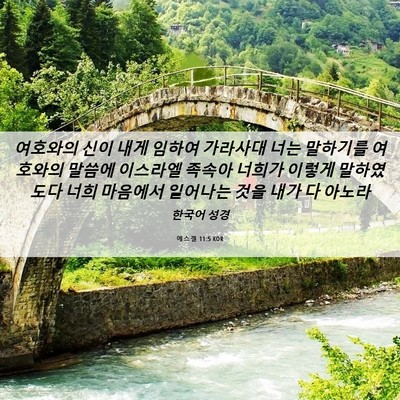 Picture 06 - 에스겔 11:5 KOR - 여호와의 신이 내게 임하여 가라사대 - Bible Verse Picture