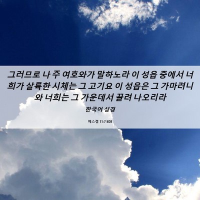 Picture 06 - 에스겔 11:7 KOR - 그러므로 나 주 여호와가 말하노라 - Bible Verse Picture