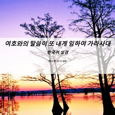 Picture 06 - 에스겔 12:17 KOR - 여호와의 말씀이 또 내게 임하여 - Bible Verse Picture