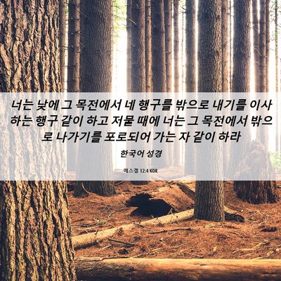 Picture 06 - 에스겔 12:4 KOR - 너는 낮에 그 목전에서 네 행구를 - Bible Verse Picture