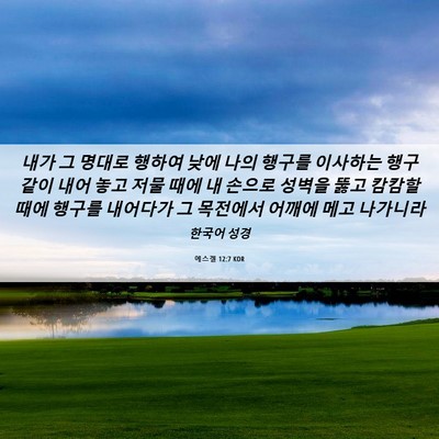 Picture 06 - 에스겔 12:7 KOR - 내가 그 명대로 행하여 낮에 나의 - Bible Verse Picture
