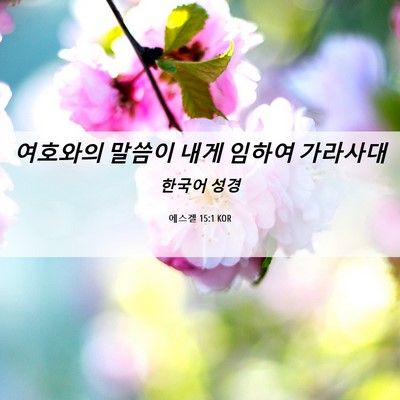 Picture 06 - 에스겔 15:1 KOR - 여호와의 말씀이 내게 임하여 - Bible Verse Picture