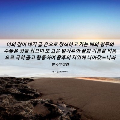 Picture 06 - 에스겔 16:13 KOR - 이와 같이 네가 금 은으로 장식하고 - Bible Verse Picture