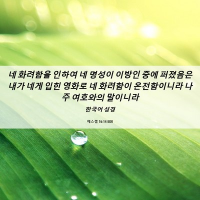 Picture 06 - 에스겔 16:14 KOR - 네 화려함을 인하여 네 명성이 - Bible Verse Picture