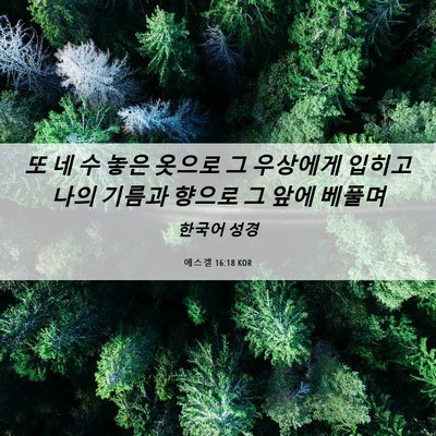 Picture 06 - 에스겔 16:18 KOR - 또 네 수 놓은 옷으로 그 우상에게 - Bible Verse Picture