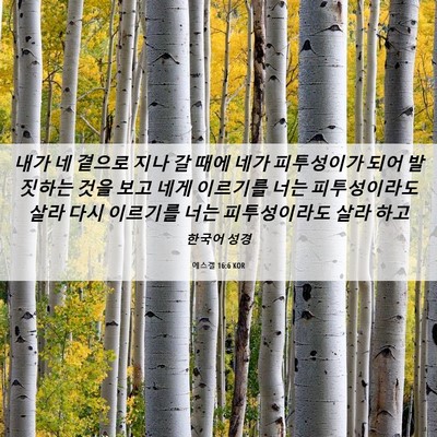 Picture 06 - 에스겔 16:6 KOR - 내가 네 곁으로 지나 갈 때에 네가 - Bible Verse Picture