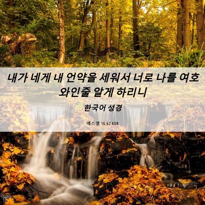 Picture 06 - 에스겔 16:62 KOR - 내가 네게 내 언약을 세워서 너로 - Bible Verse Picture