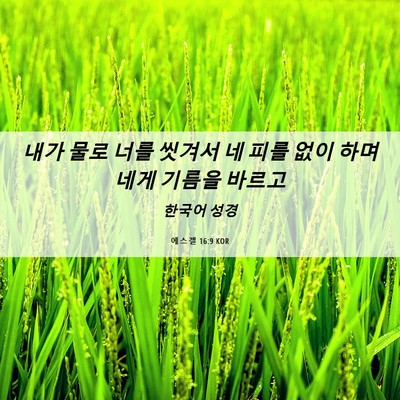Picture 06 - 에스겔 16:9 KOR - 내가 물로 너를 씻겨서 네 피를 없이 - Bible Verse Picture