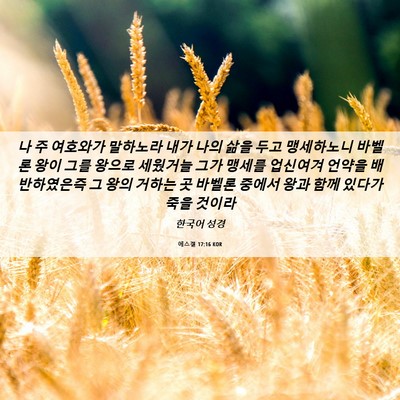 Picture 06 - 에스겔 17:16 KOR - 나 주 여호와가 말하노라 내가 나의 - Bible Verse Picture