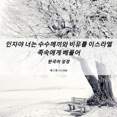 Picture 06 - 에스겔 17:2 KOR - 인자야 너는 수수께끼와 비유를 - Bible Verse Picture