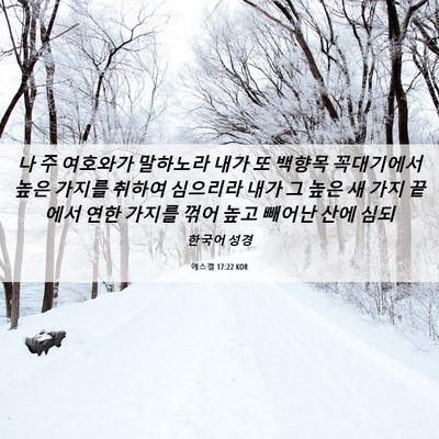 Picture 06 - 에스겔 17:22 KOR - 나 주 여호와가 말하노라 내가 또 - Bible Verse Picture