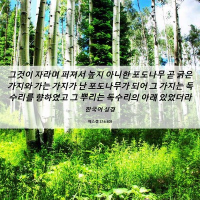 Picture 06 - 에스겔 17:6 KOR - 그것이 자라며 퍼져서 높지 아니한 - Bible Verse Picture