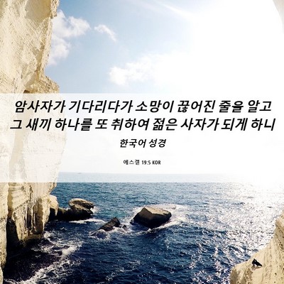 Picture 06 - 에스겔 19:5 KOR - 암사자가 기다리다가 소망이 끊어진 - Bible Verse Picture