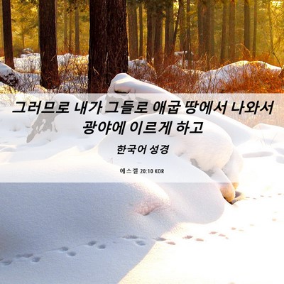Picture 06 - 에스겔 20:10 KOR - 그러므로 내가 그들로 애굽 땅에서 - Bible Verse Picture