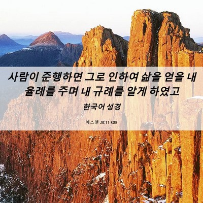 Picture 06 - 에스겔 20:11 KOR - 사람이 준행하면 그로 인하여 삶을 - Bible Verse Picture