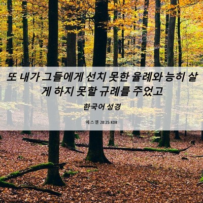 Picture 06 - 에스겔 20:25 KOR - 또 내가 그들에게 선치 못한 율례와 - Bible Verse Picture