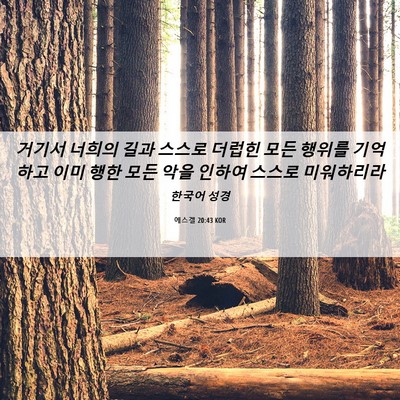 Picture 06 - 에스겔 20:43 KOR - 거기서 너희의 길과 스스로 더럽힌 - Bible Verse Picture