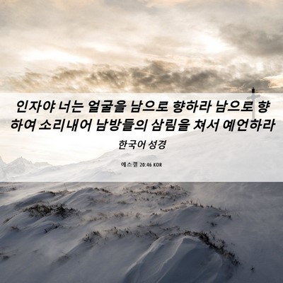 Picture 06 - 에스겔 20:46 KOR - 인자야 너는 얼굴을 남으로 향하라 - Bible Verse Picture