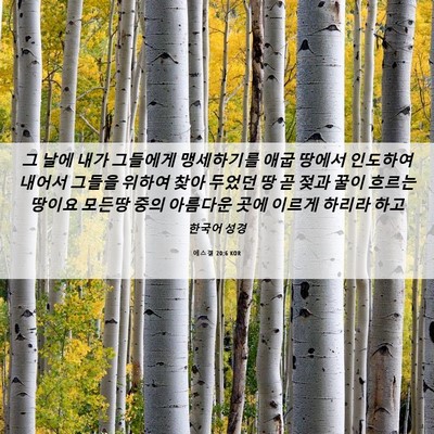 Picture 06 - 에스겔 20:6 KOR - 그 날에 내가 그들에게 맹세하기를 - Bible Verse Picture