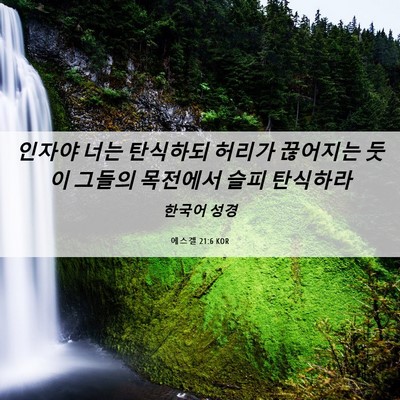 Picture 06 - 에스겔 21:6 KOR - 인자야 너는 탄식하되 허리가 - Bible Verse Picture